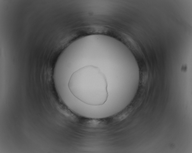 X0000089430326200707131850