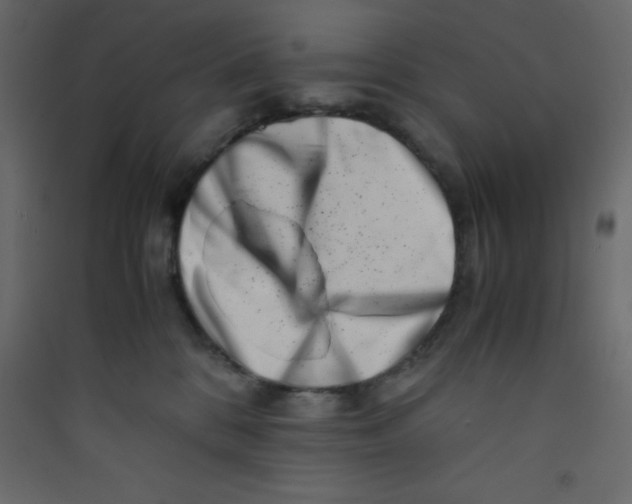 X0000089430328200707131850