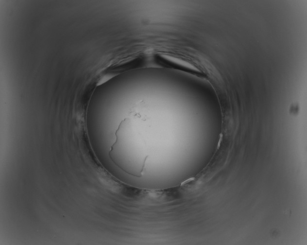 X0000089430329200707131850
