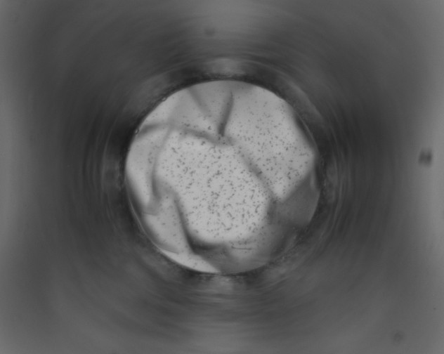 X0000089430330200707131850