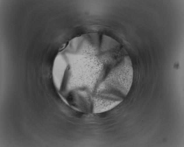 X0000089430331200707131850