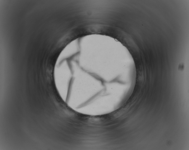 X0000089430332200707131850