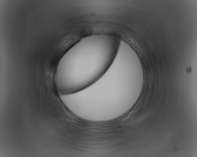 X0000089430333200707131850