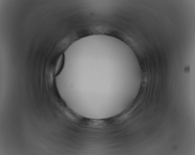 X0000089430334200707131850