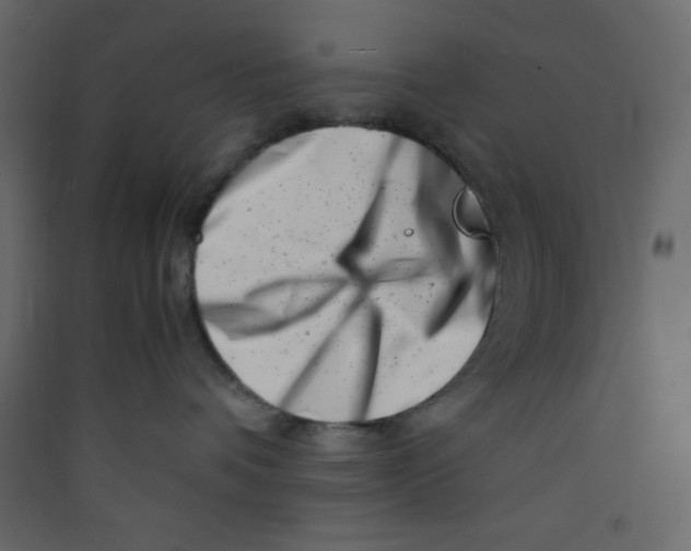 X0000089430336200707131850