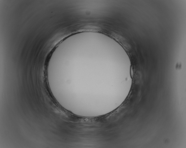 X0000089430338200707131849