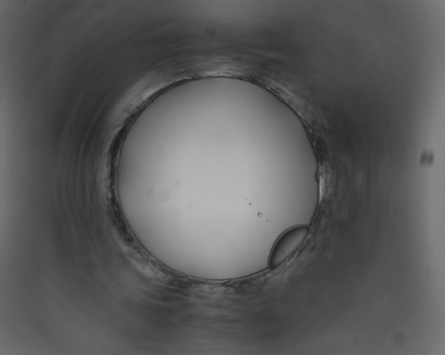 X0000089430339200707131849