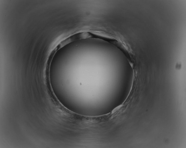 X0000089430340200707131849