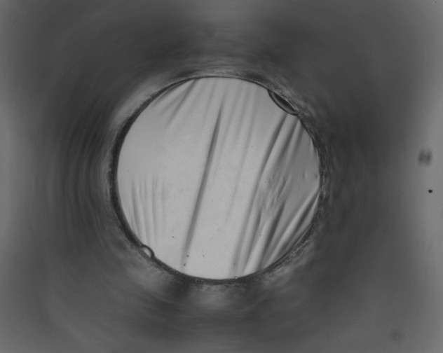 X0000089430341200707131849
