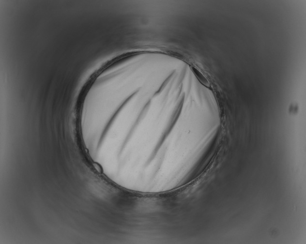 X0000089430342200707131849
