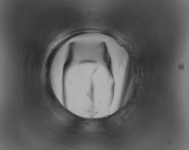 X0000089430343200707131849