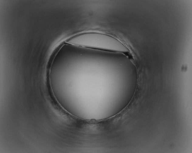 X0000089430344200707131849