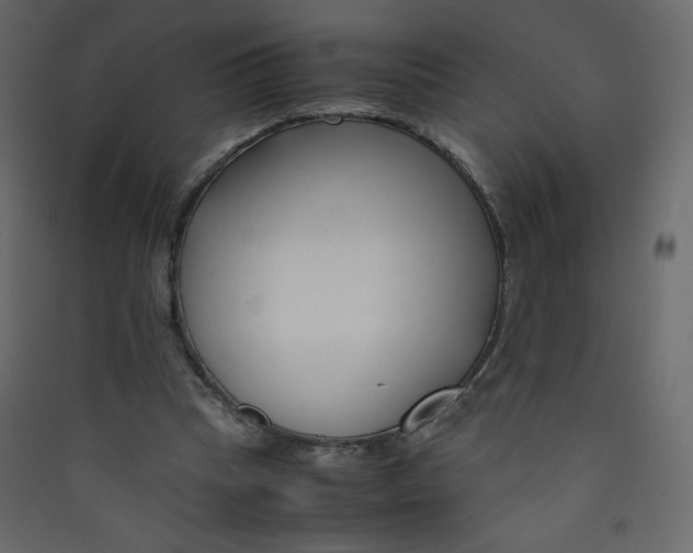 X0000089430345200707131849