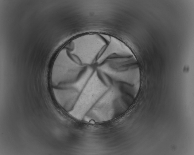 X0000089430346200707131849