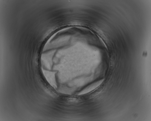 X0000089430347200707131849