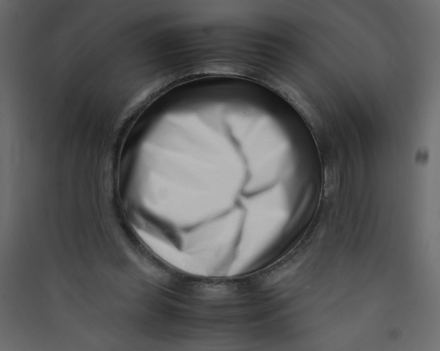 X0000089430349200707131849