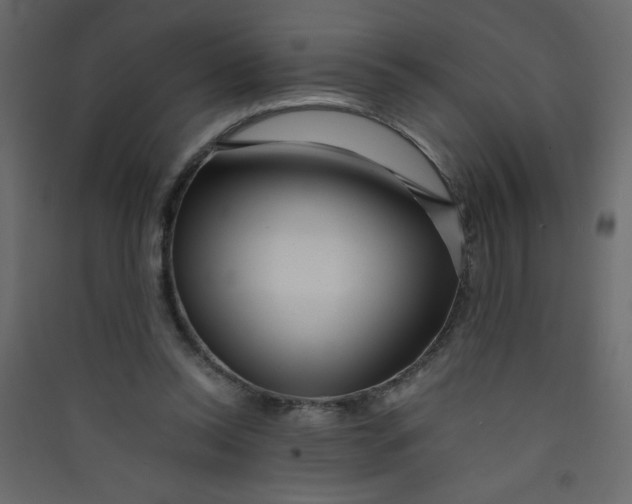 X0000089430350200707131849