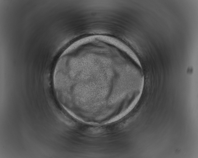 X0000089430351200707131849