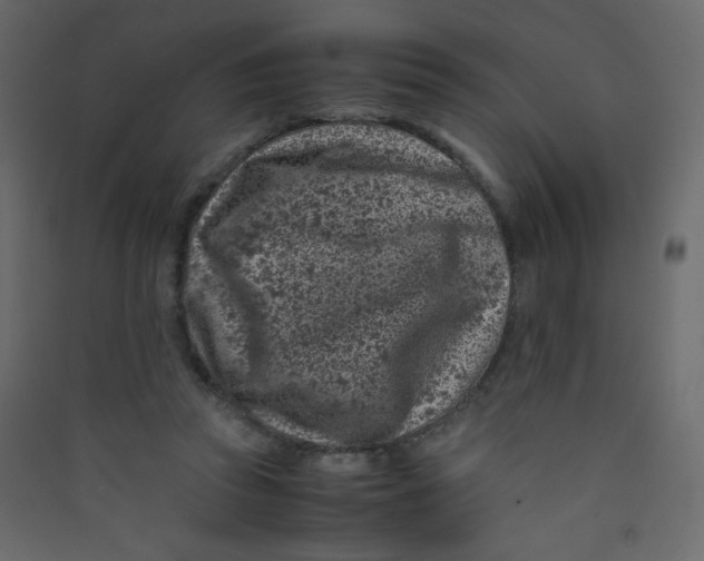 X0000089430353200707131849
