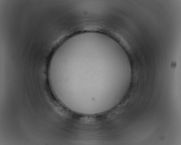 X0000089430354200707131849