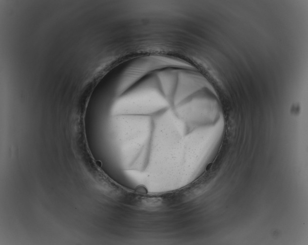 X0000089430355200707131849