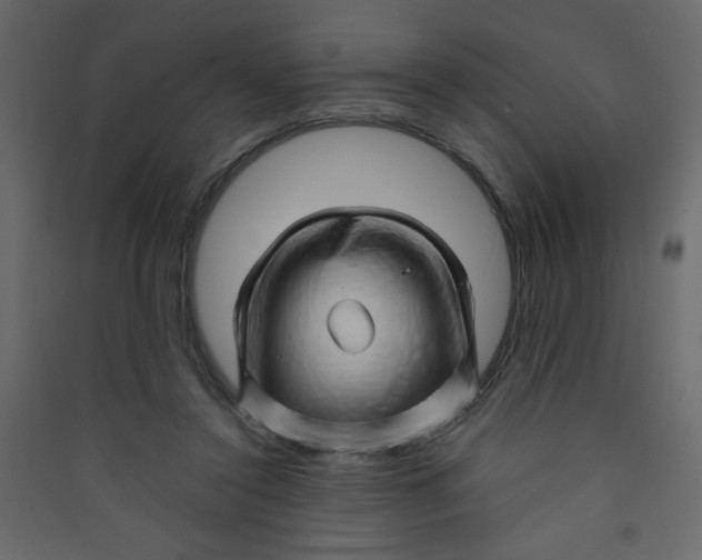 X0000089430356200707131849