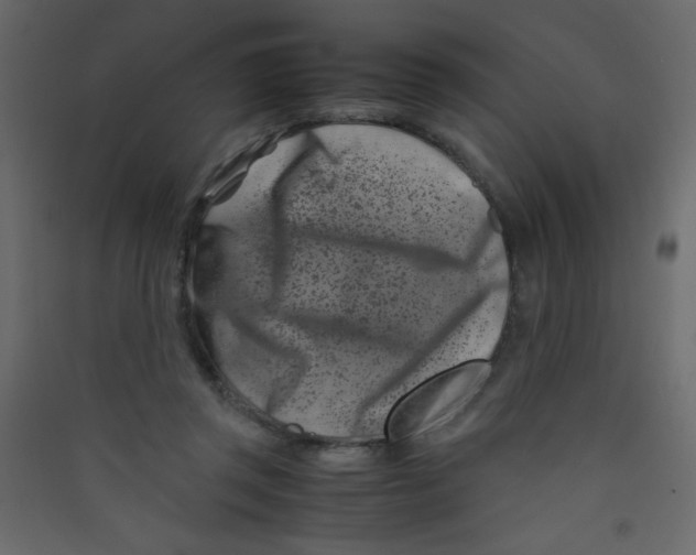 X0000089430357200707131849