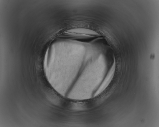 X0000089430359200707131849
