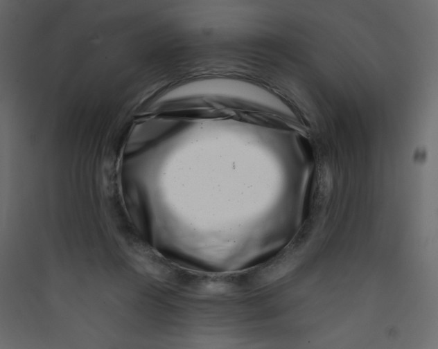 X0000089430360200707131849