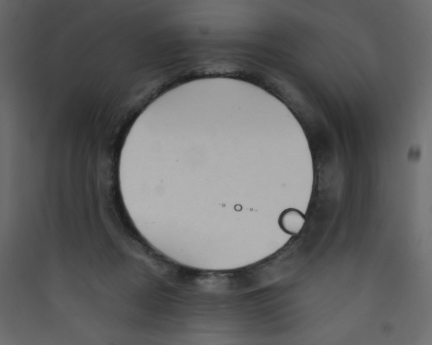 X0000089430362200707131849