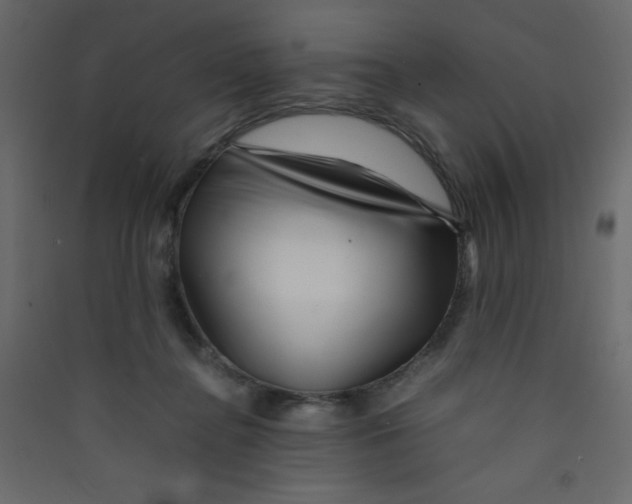 X0000089430364200707131849