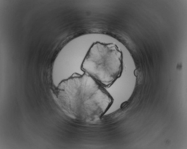 X0000089430365200707131849