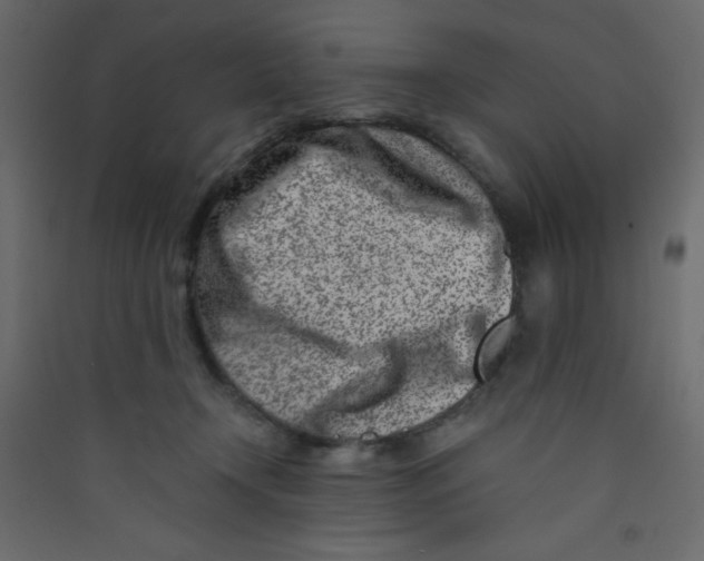 X0000089430366200707131849