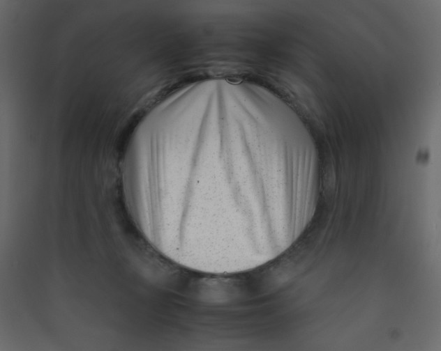 X0000089430367200707131849