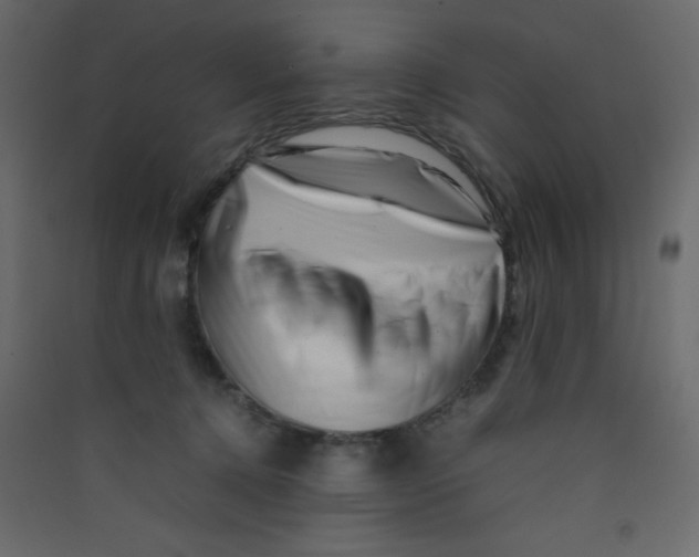 X0000089430368200707131849