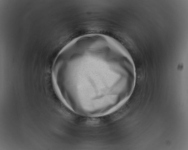 X0000089430369200707131849