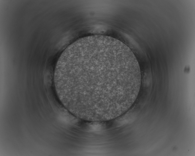 X0000089430370200707131849