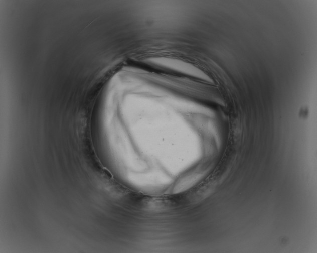 X0000089430372200707131849
