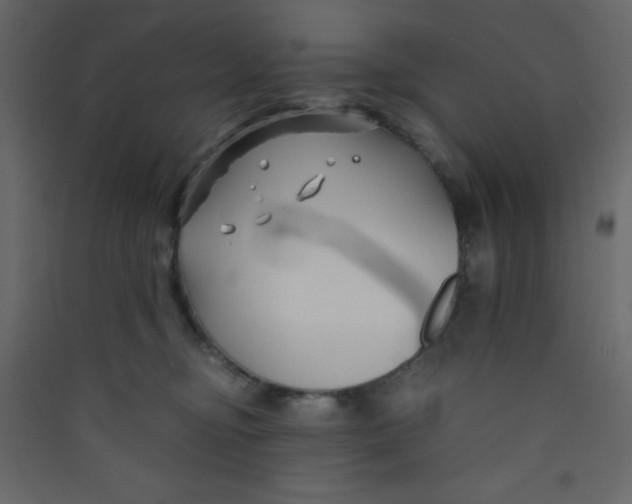 X0000089430374200707131849