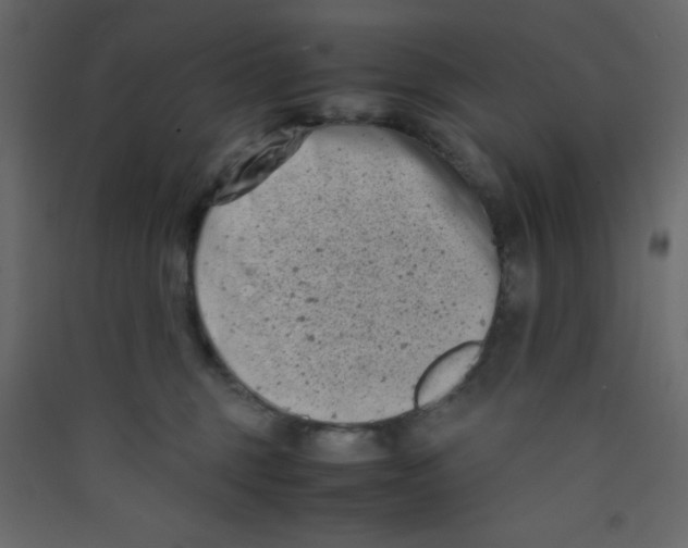 X0000089430375200707131849