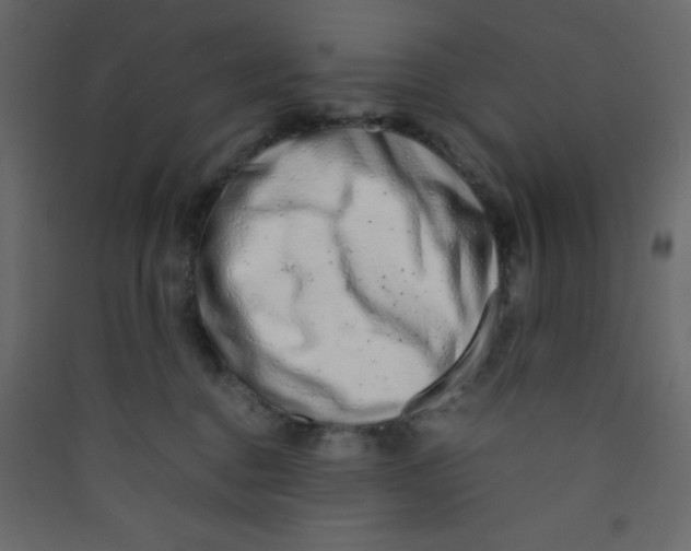 X0000089430376200707131850