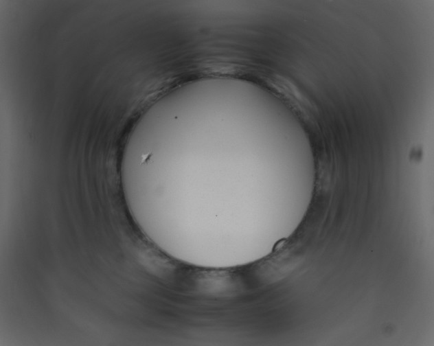 X0000089430377200707131850