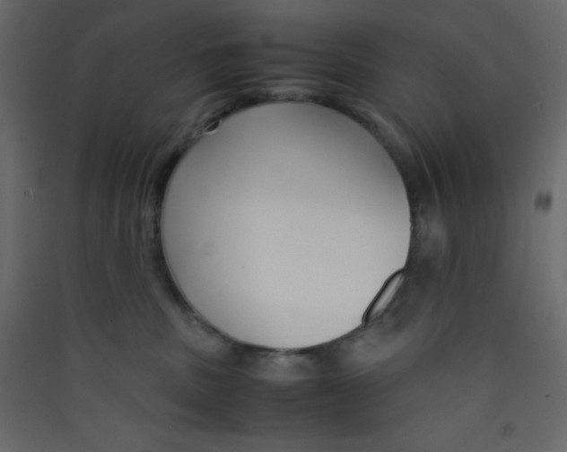 X0000089430379200707131850