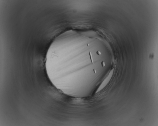 X0000089430380200707131850