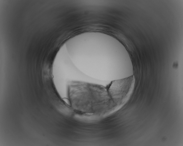 X0000089430381200707131850