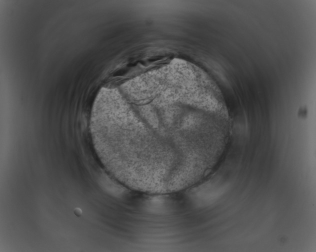 X0000089430382200707131850