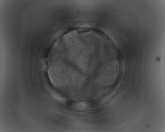 X0000089430383200707131850