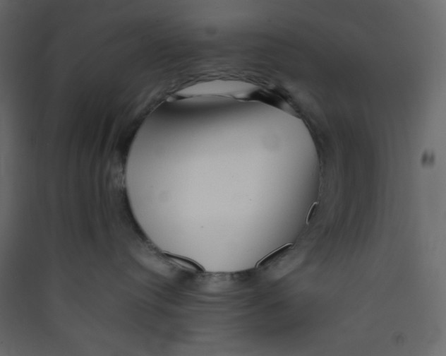 X0000089430384200707131850