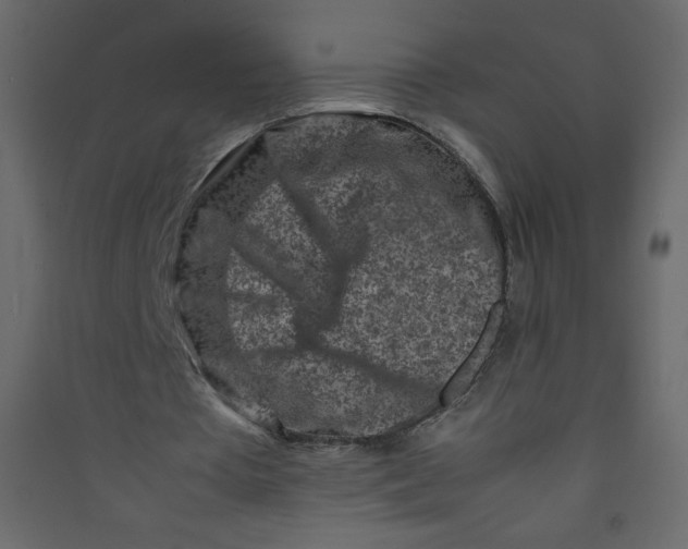 X0000089430385200707131849
