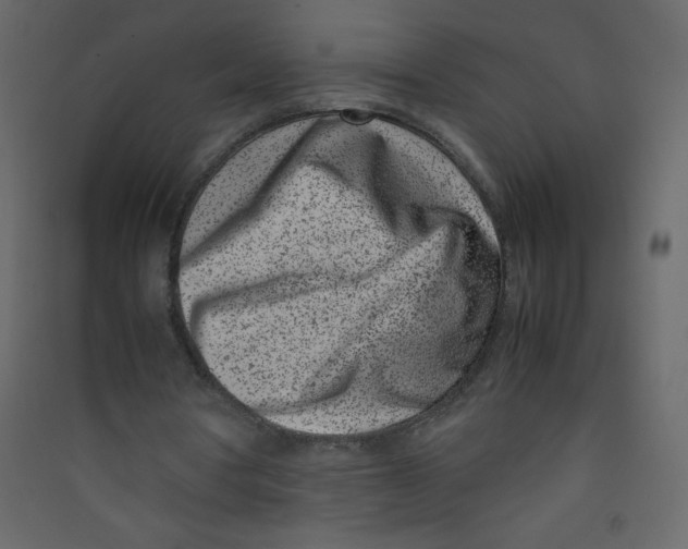 X0000089430386200707131849